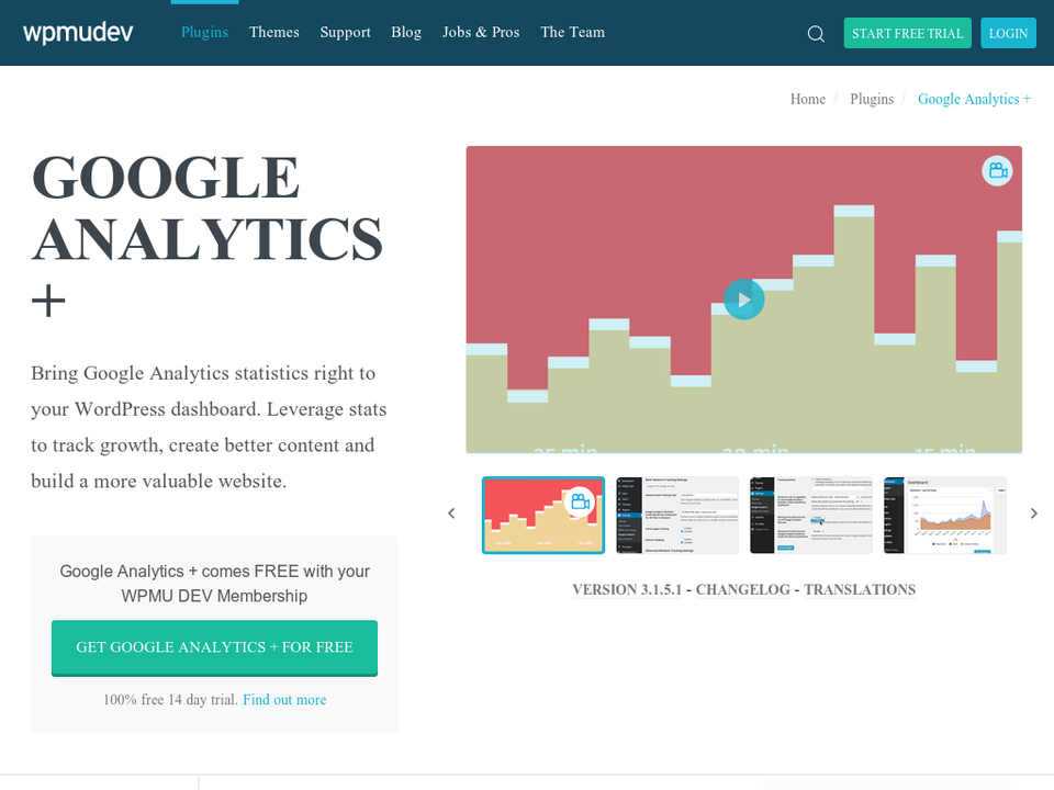Google Analytics +